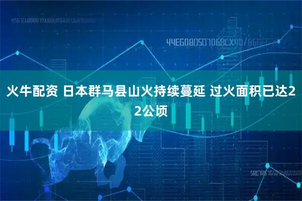 火牛配资 日本群马县山火持续蔓延 过火面积已达22公顷